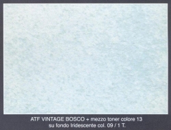 Vintage Bosco Iridescente 09 mezzo toner 13 