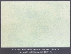 Vintage Bosco Iridescente 09 mezzo toner 15 