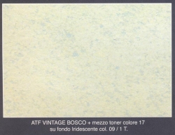 Vintage Bosco Iridescente 09 mezzotoner17 