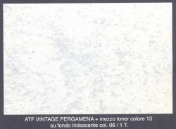 Vintage Pergamena Iridescente 06 mezzo toner 13 