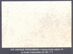Vintage Pergamena Iridescente 06 mezzo toner 14 