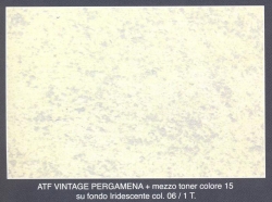Vintage Pergamena Iridescente 06 mezzo toner 15 
