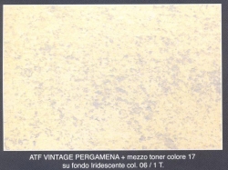 Vintage Pergamena Iridescente 06 mezzo toner 17 
